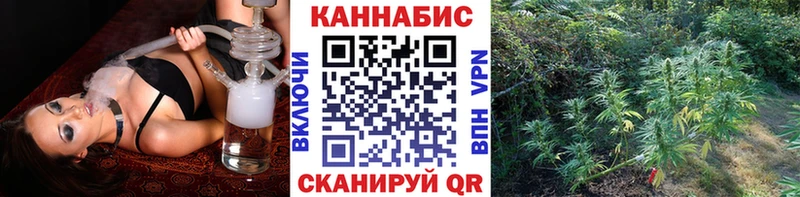 МЕГА как войти  Будённовск  Каннабис VHQ 